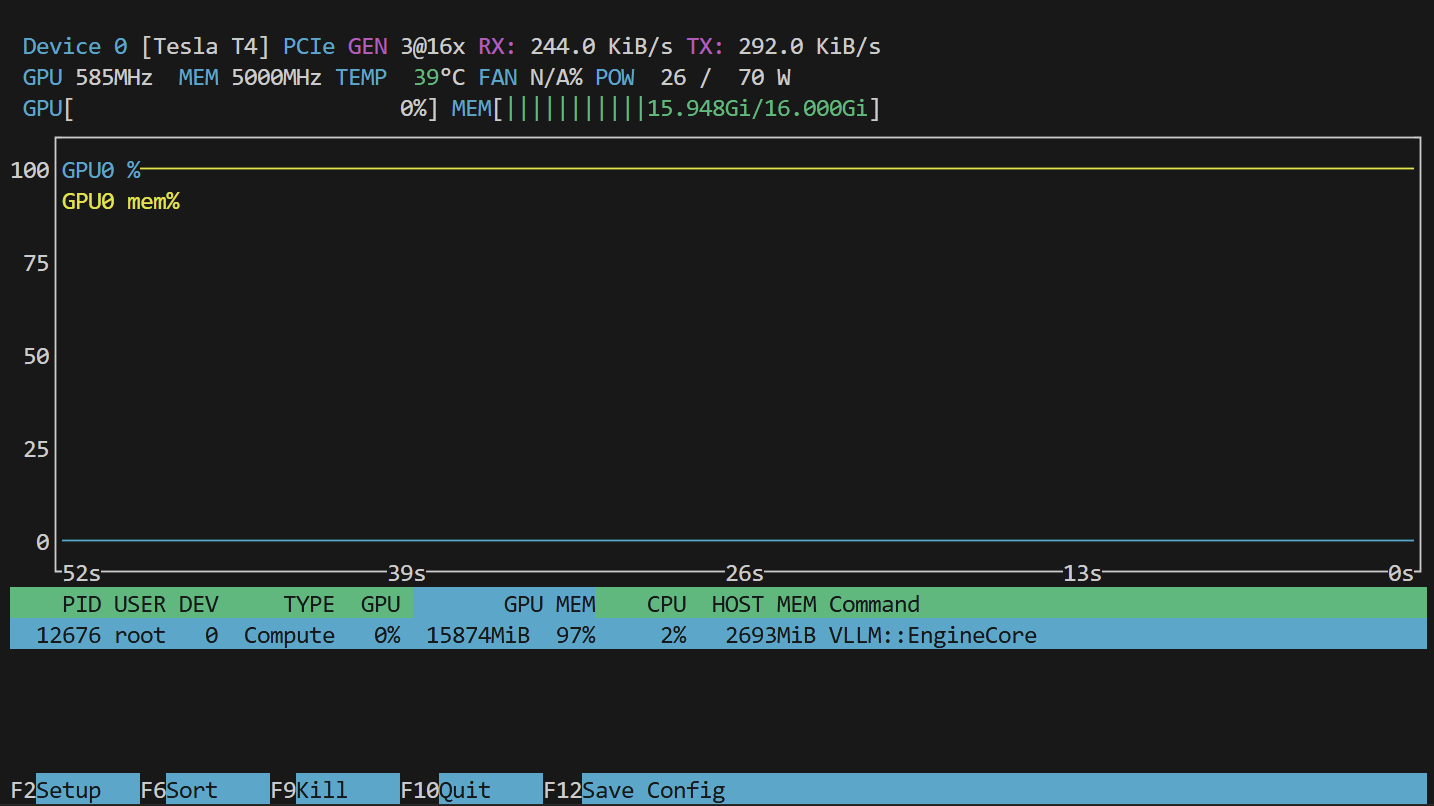 初步启动显存占用情况